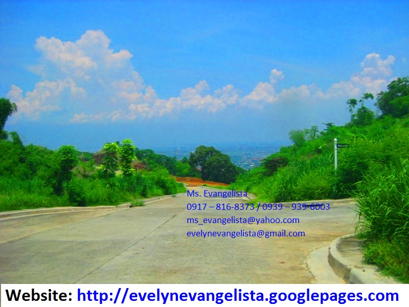 FOR SALE: Lot / Land / Farm Rizal 5