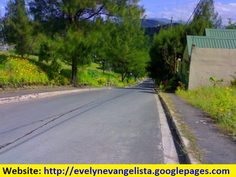 FOR SALE: Lot / Land / Farm Rizal 2