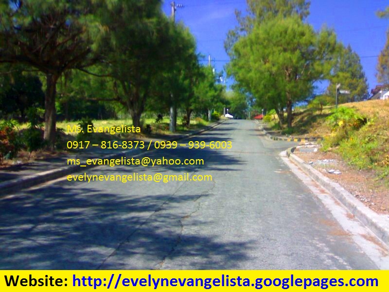 FOR SALE: Lot / Land / Farm Rizal 6