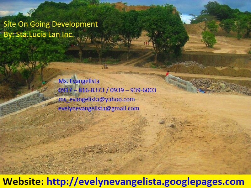 FOR SALE: Lot / Land / Farm Rizal 8