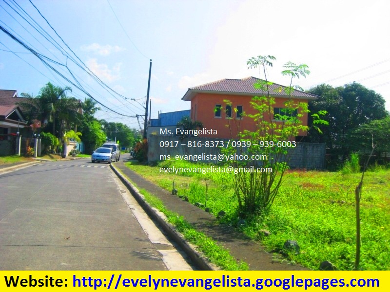 FOR SALE: Lot / Land / Farm Rizal 3