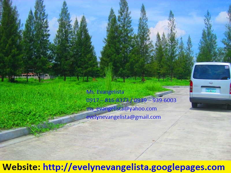 FOR SALE: Lot / Land / Farm Cagayan 4