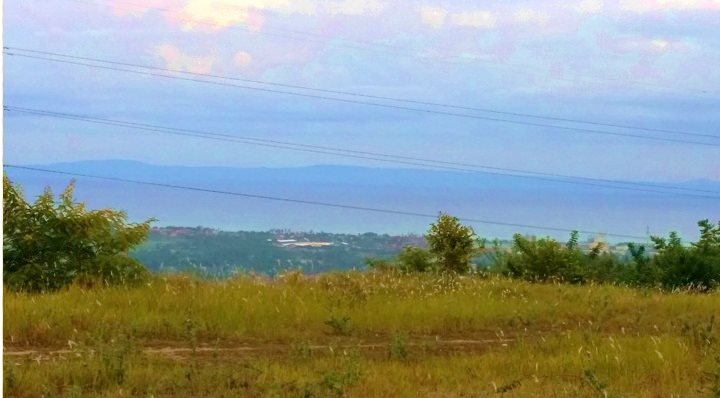 FOR SALE: Lot / Land / Farm Cebu > Other areas