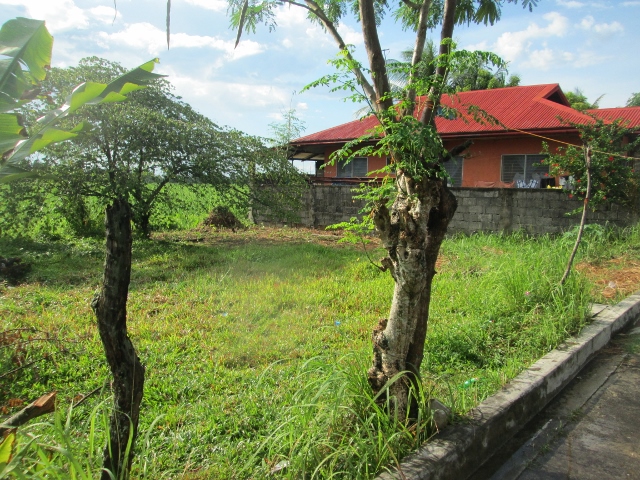 FOR SALE: Lot / Land / Farm Negros Occidental