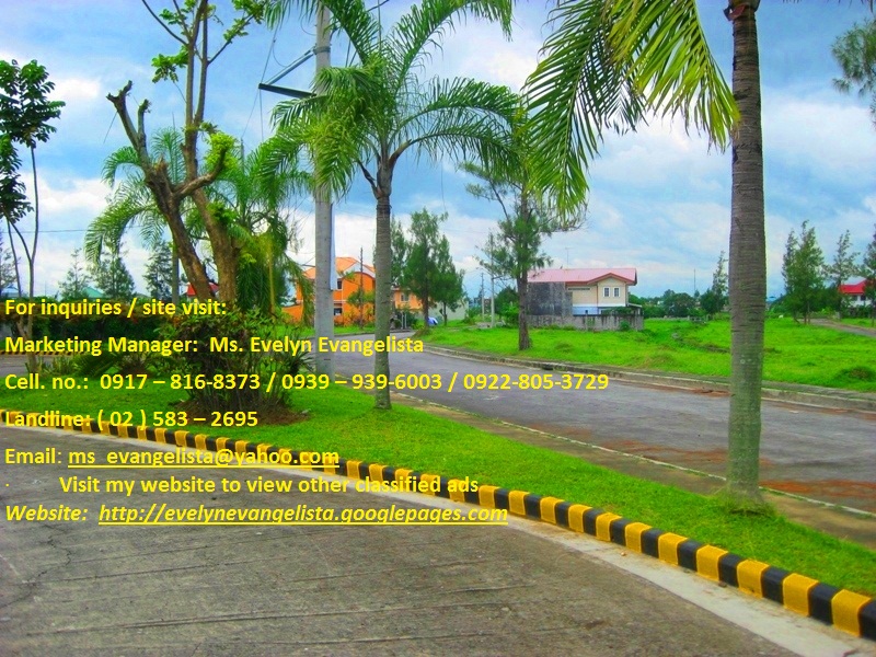 FOR SALE: Lot / Land / Farm Cavite > Dasmarinas 2