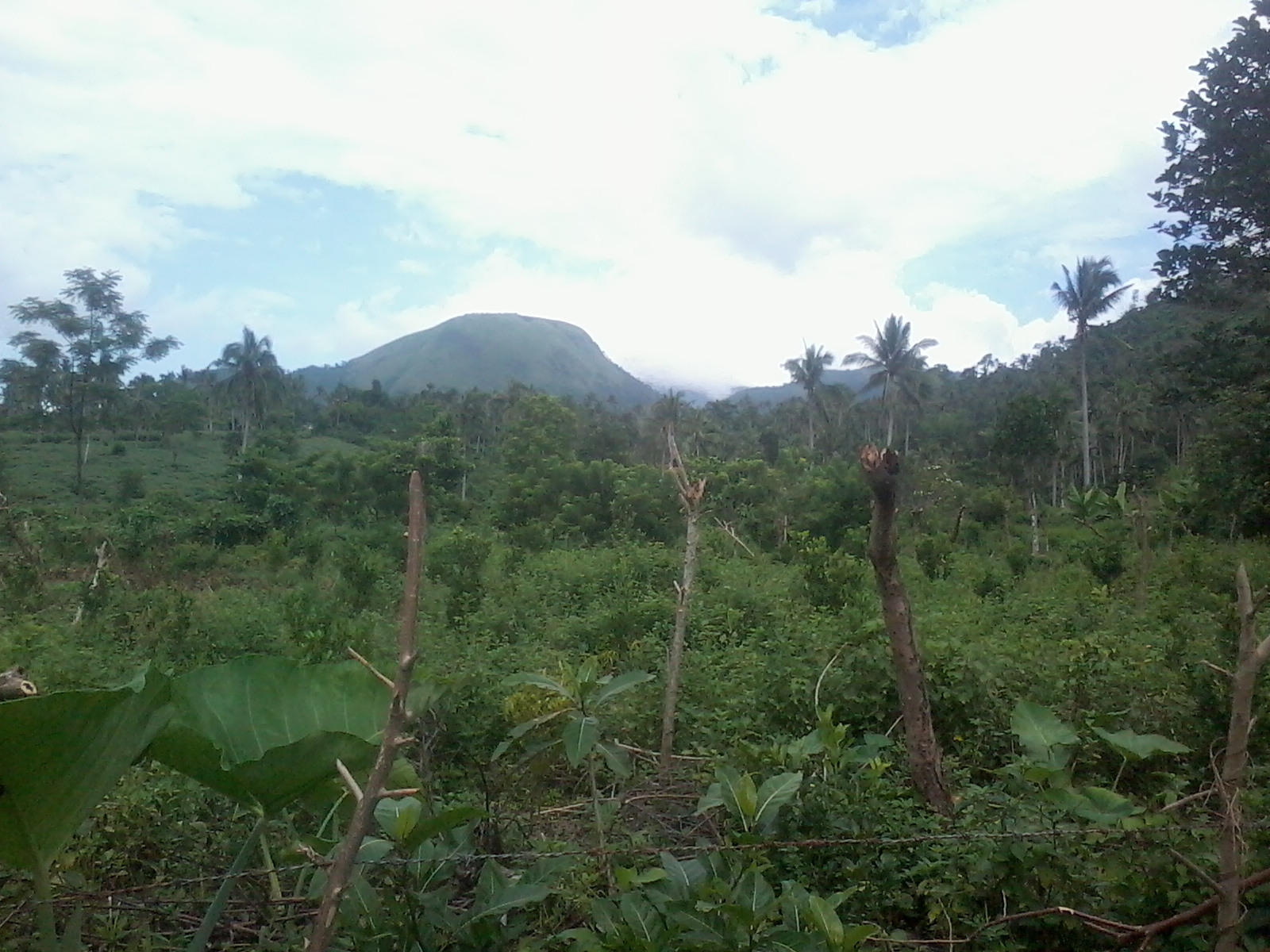 BIGA, MASALACOT 5, CANDELARIA, QUEZON