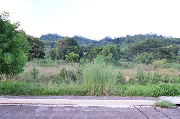 FOR SALE: Lot / Land / Farm Rizal 2