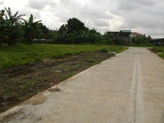 FOR SALE: Lot / Land / Farm Rizal