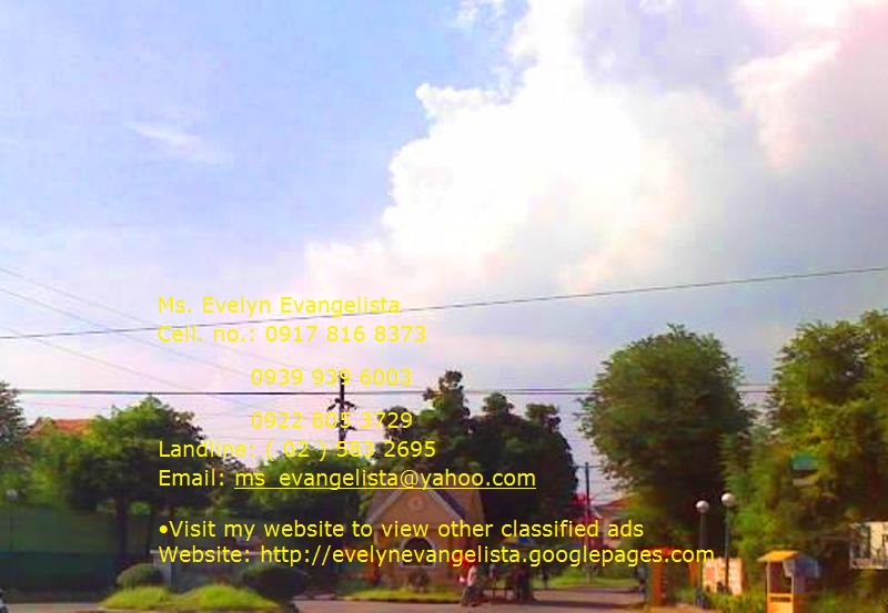 FOR SALE: Lot / Land / Farm Rizal