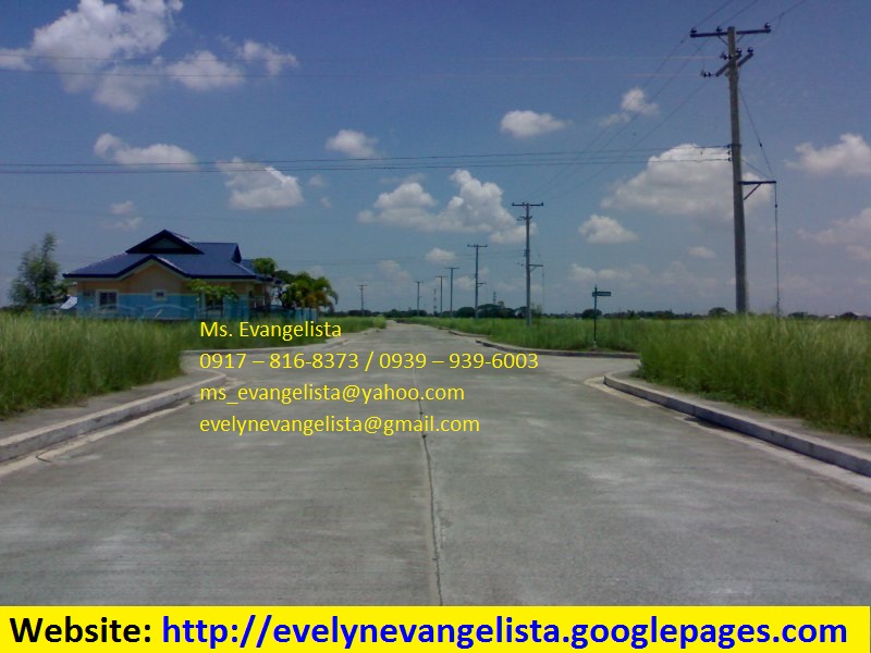 FOR SALE: Lot / Land / Farm Nueva Ecija 3