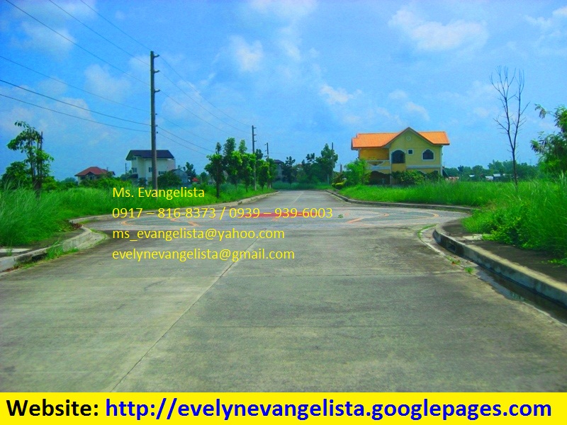 FOR SALE: Lot / Land / Farm Pangasinan 3