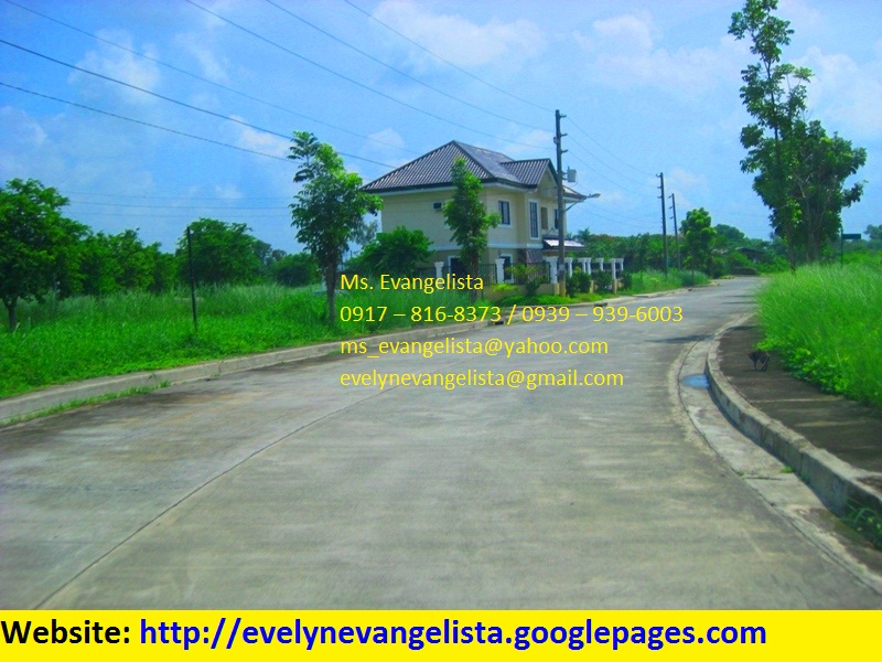 FOR SALE: Lot / Land / Farm Pangasinan 4