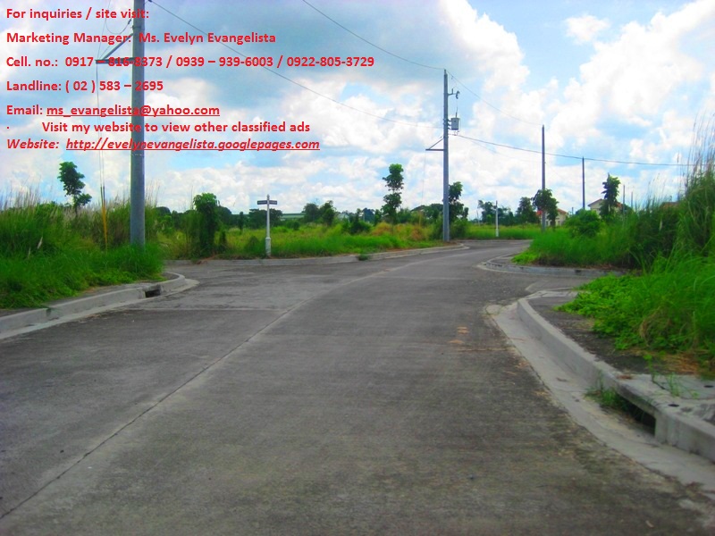 FOR SALE: Lot / Land / Farm Cavite 1