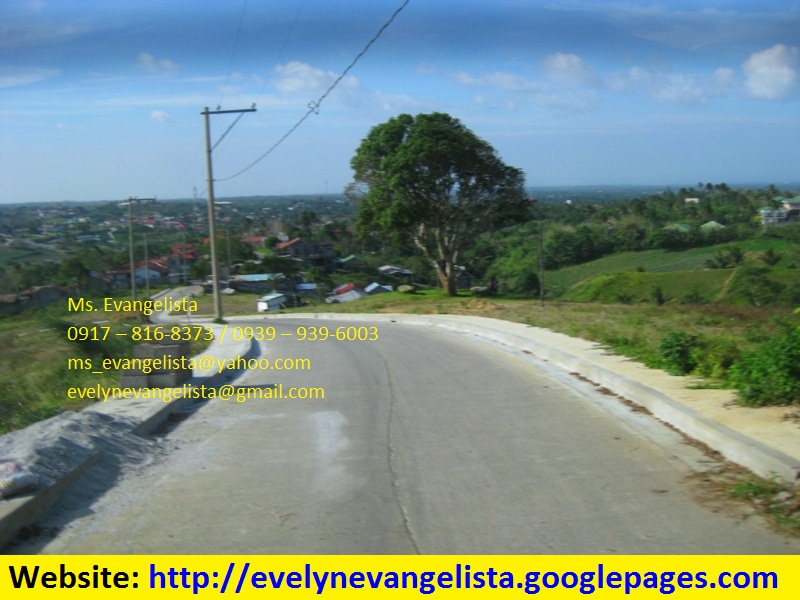 FOR SALE: Lot / Land / Farm Cavite 2