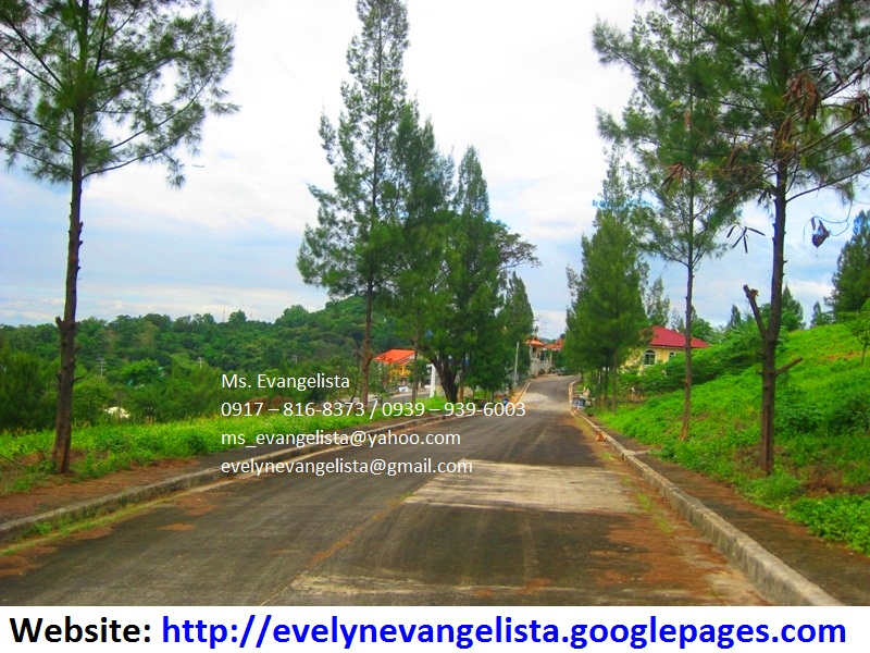 FOR SALE: Lot / Land / Farm Rizal 3