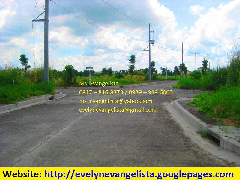 FOR SALE: Lot / Land / Farm Cavite 1