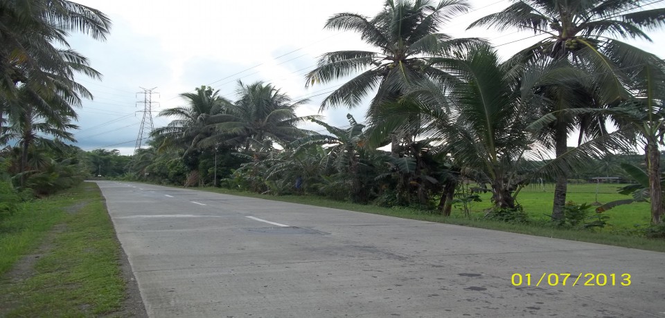 FOR SALE: Lot / Land / Farm Capiz 1