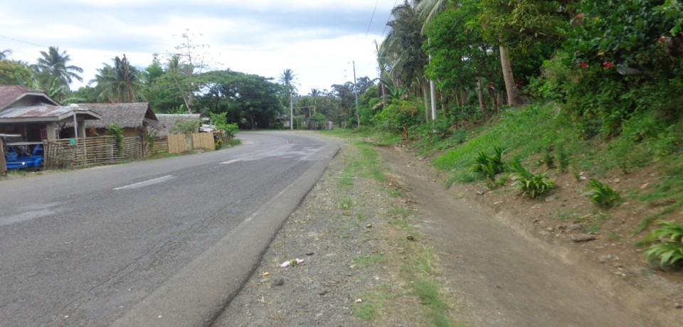 FOR SALE: Lot / Land / Farm Camarines Norte 3