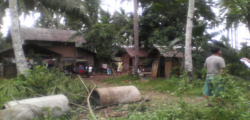 FOR SALE: Lot / Land / Farm Abra