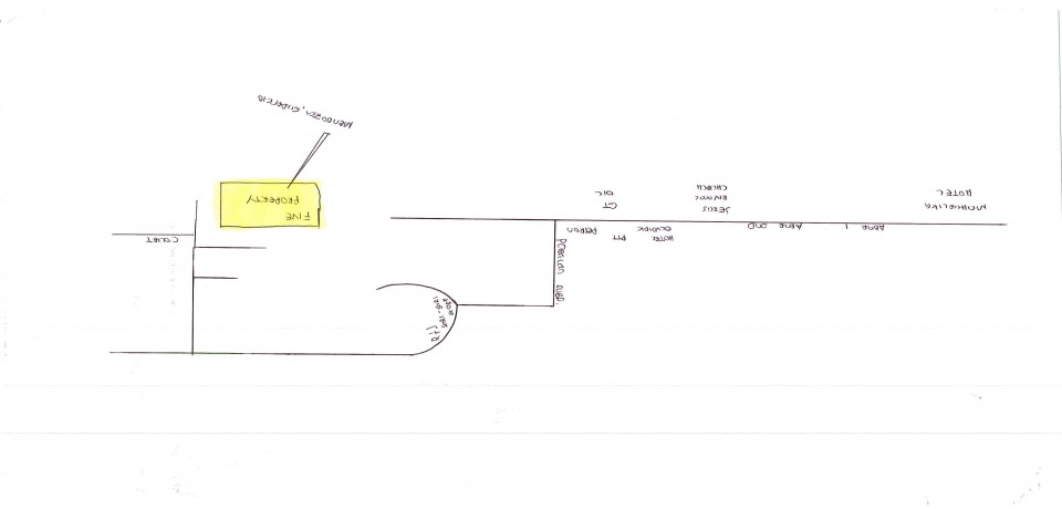 FOR SALE: Lot / Land / Farm Nueva Ecija 4