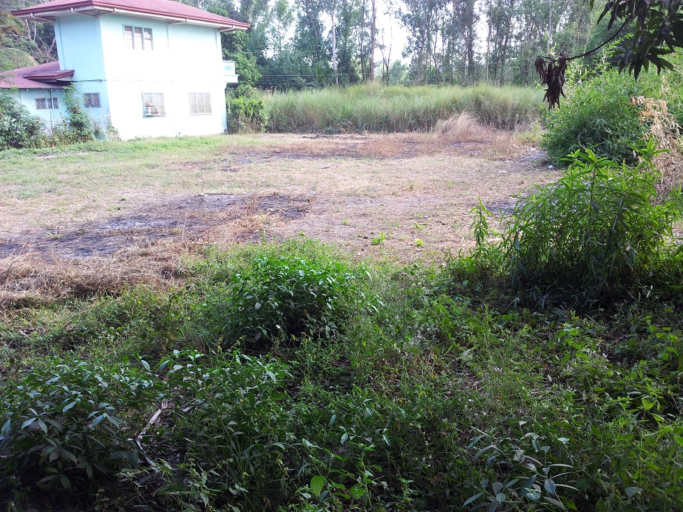 FOR SALE: Lot / Land / Farm Zambales