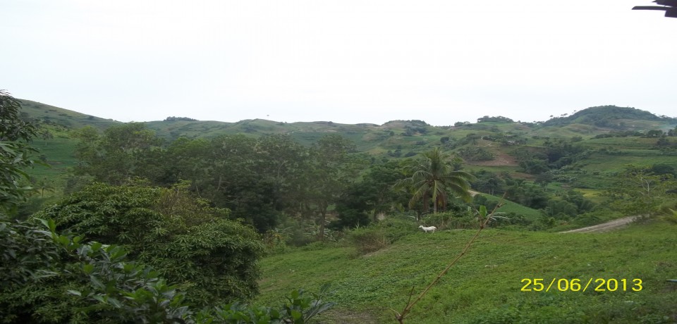 FOR SALE: Lot / Land / Farm Negros Occidental