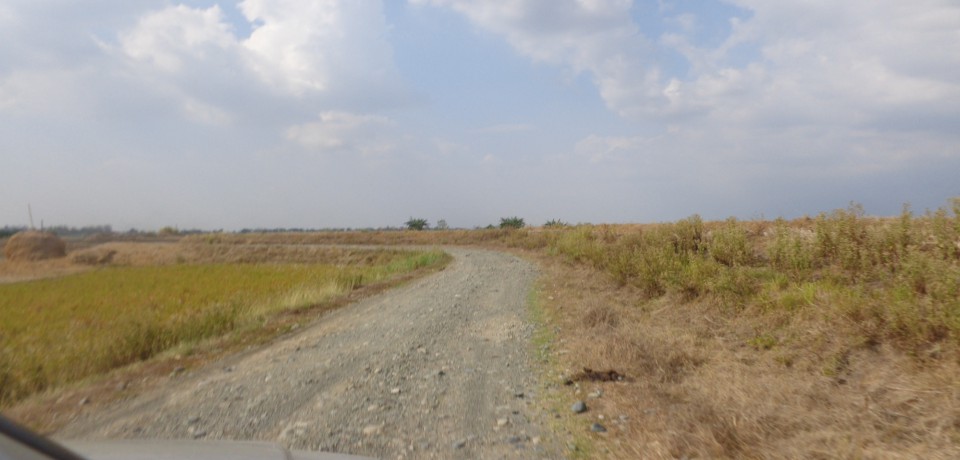 FOR SALE: Lot / Land / Farm Nueva Ecija 3