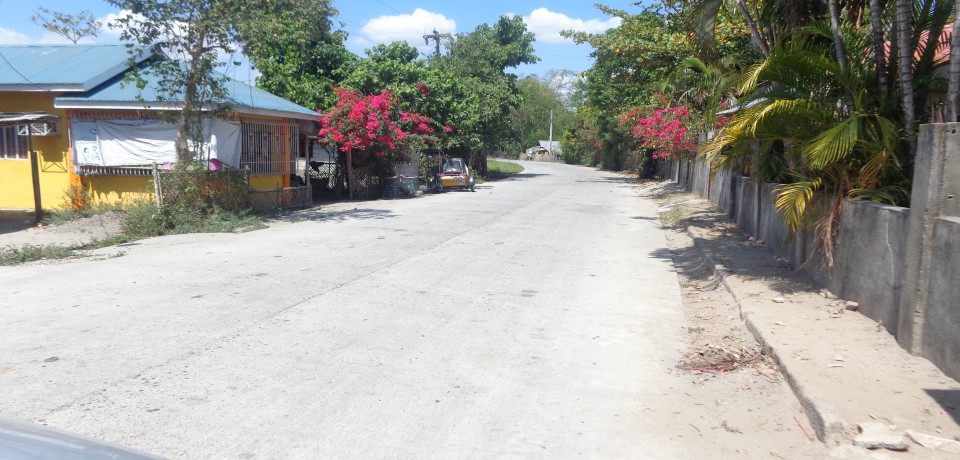 FOR SALE: Lot / Land / Farm Pampanga 7