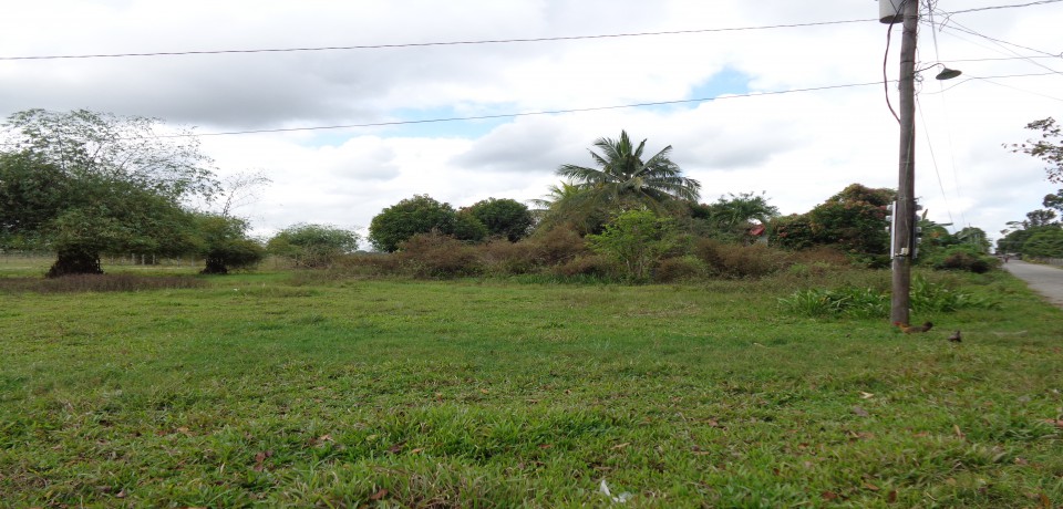 FOR SALE: Lot / Land / Farm Isabela 3