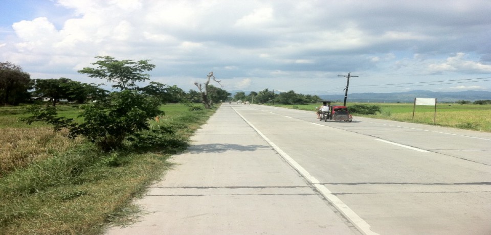 FOR SALE: Lot / Land / Farm Nueva Ecija 2