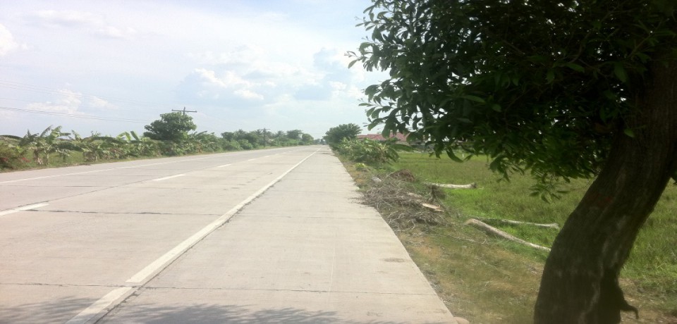 FOR SALE: Lot / Land / Farm Nueva Ecija 4