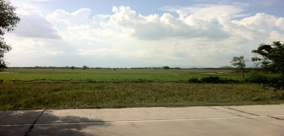 FOR SALE: Lot / Land / Farm Nueva Ecija 5