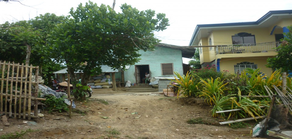 FOR SALE: Lot / Land / Farm Capiz 9