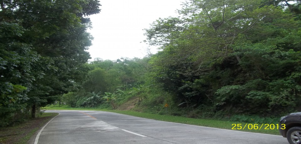 FOR SALE: Lot / Land / Farm Negros Occidental 2