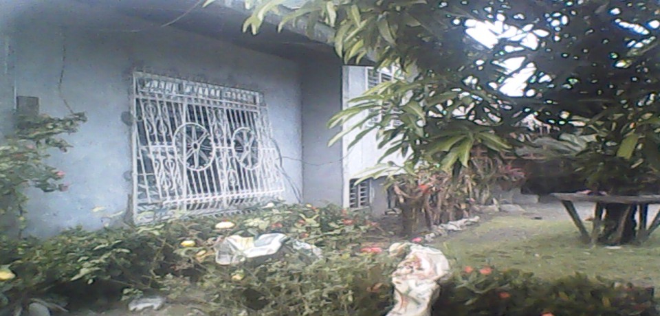 FOR SALE: House Mindoro Oriental 6