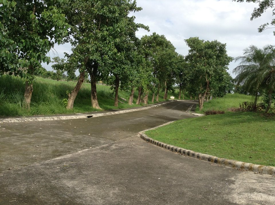 FOR SALE: Lot / Land / Farm Laguna > Calamba 1