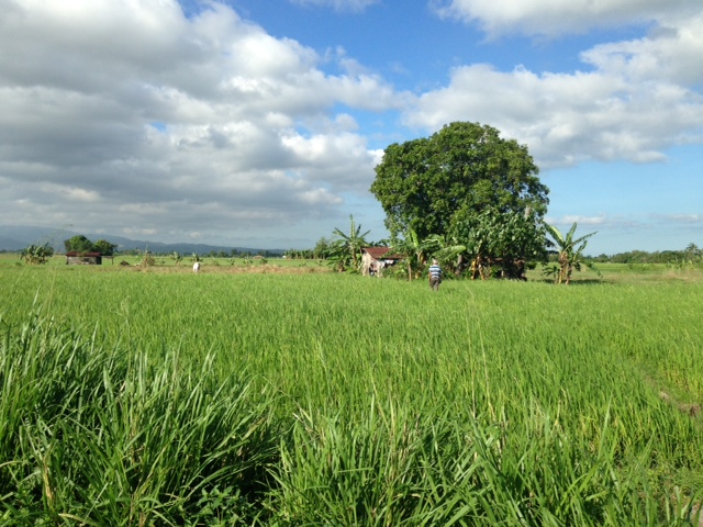 FOR SALE: Lot / Land / Farm Cavite