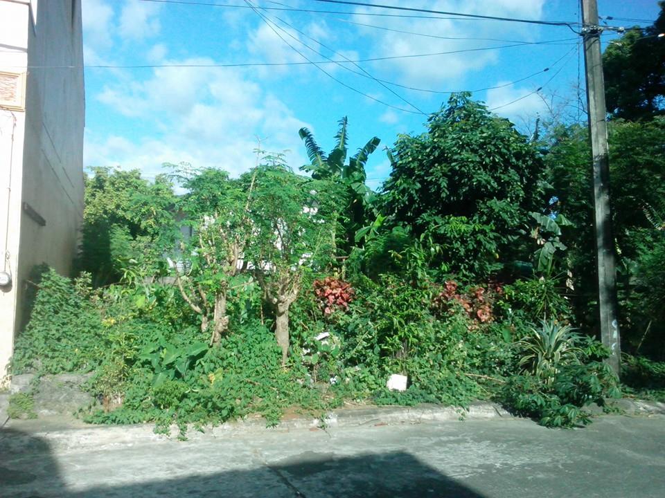 FOR SALE: Lot / Land / Farm Manila Metropolitan Area > Quezon