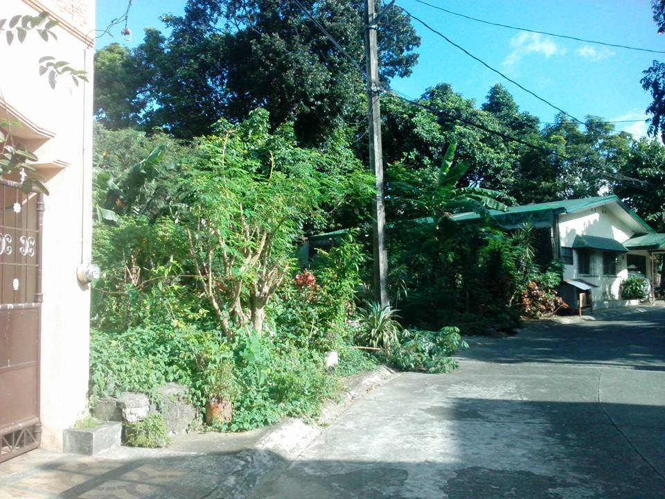 FOR SALE: Lot / Land / Farm Manila Metropolitan Area > Quezon 2