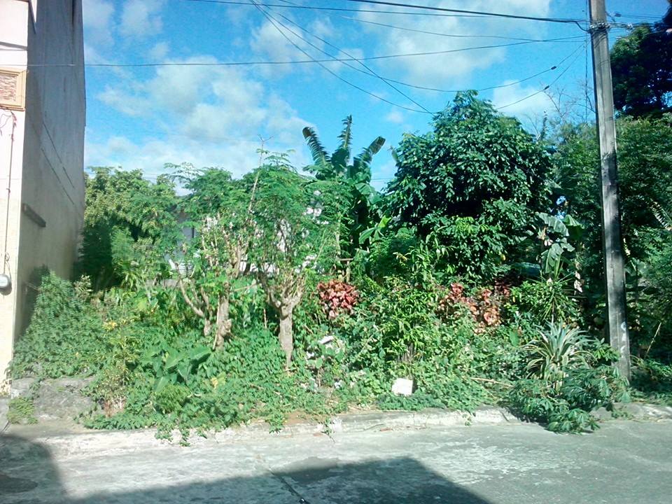 FOR SALE: Lot / Land / Farm Manila Metropolitan Area > Quezon 3