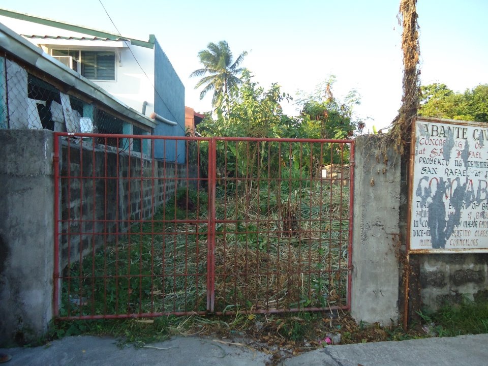 FOR SALE: Lot / Land / Farm Cavite 1