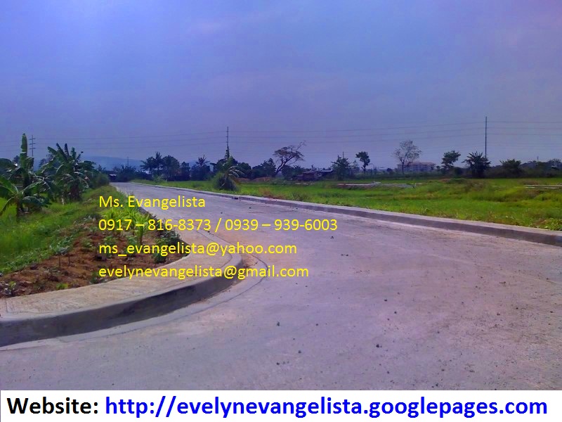 FOR SALE: Lot / Land / Farm Rizal 4