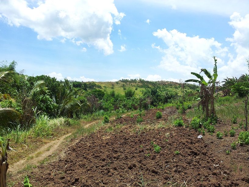 FOR SALE: Lot / Land / Farm Rizal > Other areas 1