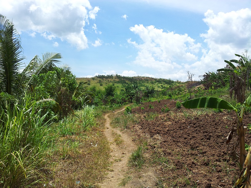 FOR SALE: Lot / Land / Farm Rizal > Other areas 2