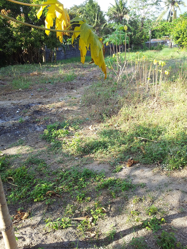 FOR SALE: Lot / Land / Farm Zambales > Other areas 2