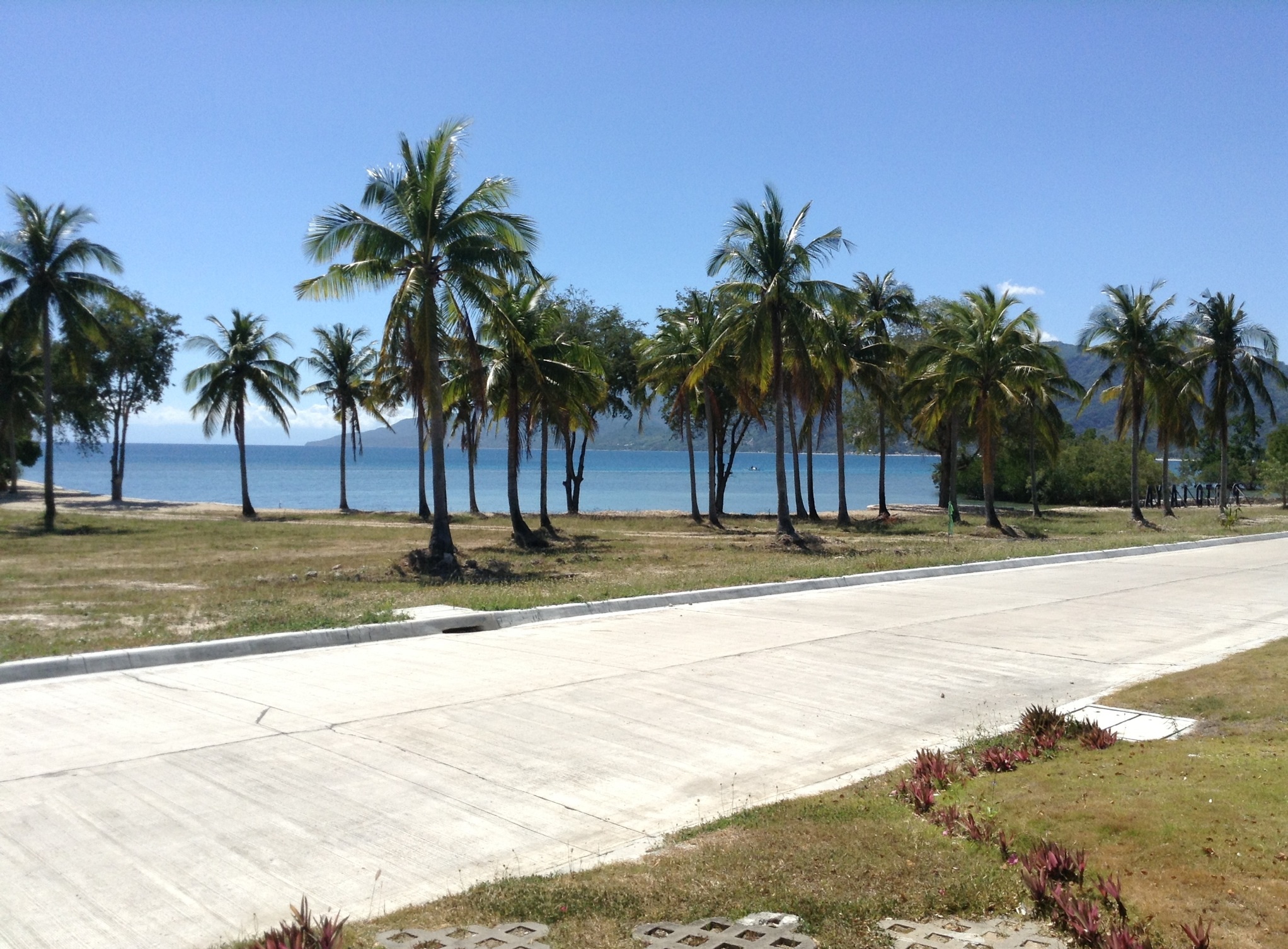 FOR SALE: Lot / Land / Farm Batangas > Other areas 1