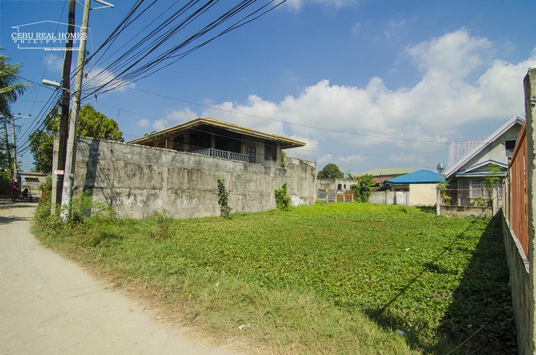 FOR SALE: Lot / Land / Farm Cebu 1