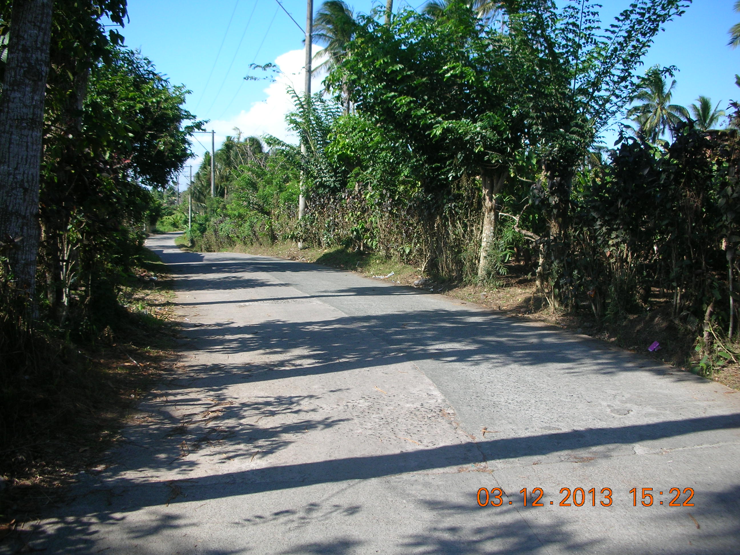 FOR SALE: Lot / Land / Farm Batangas > Other areas