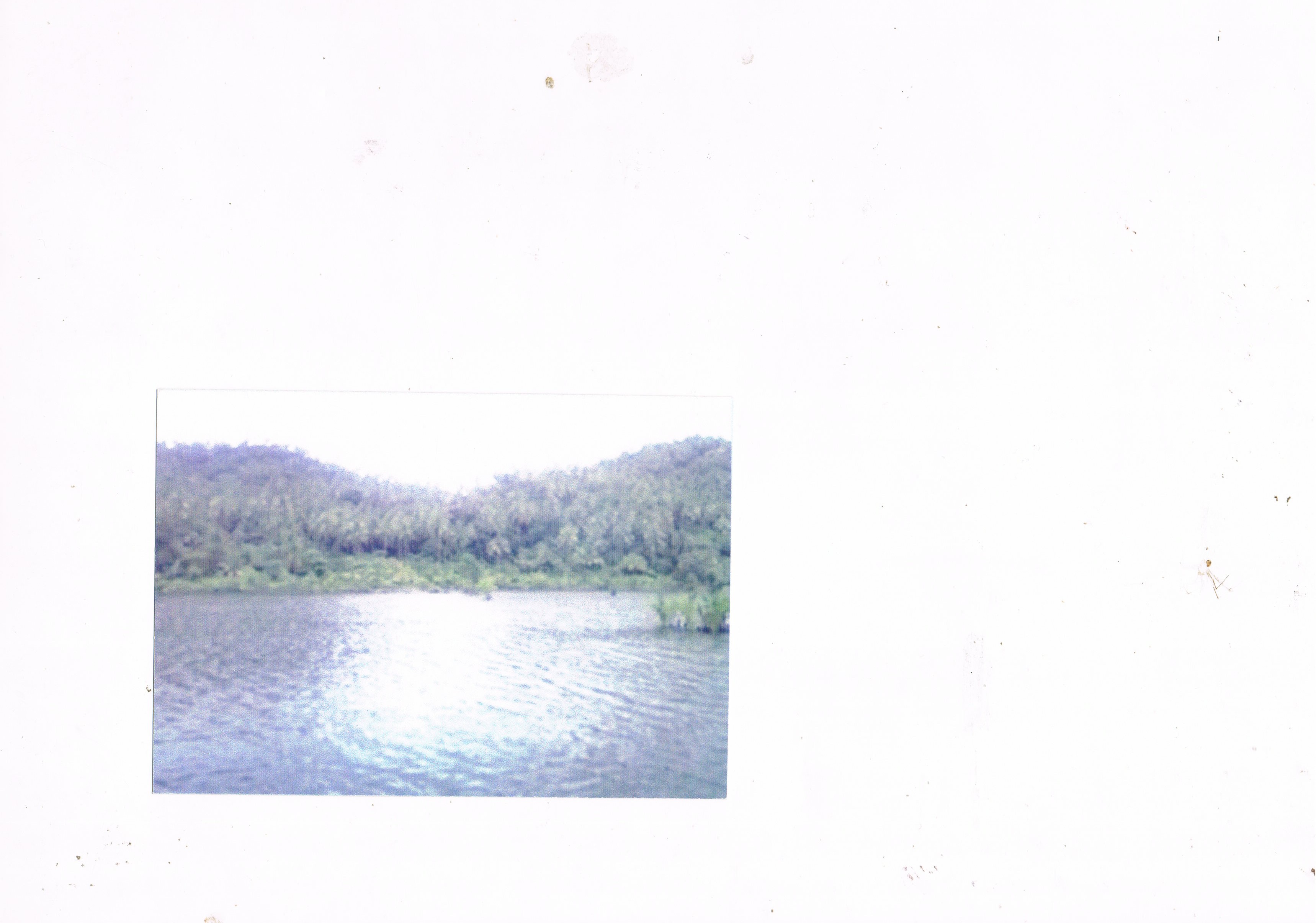 FOR SALE: Lot / Land / Farm Camarines Norte 3