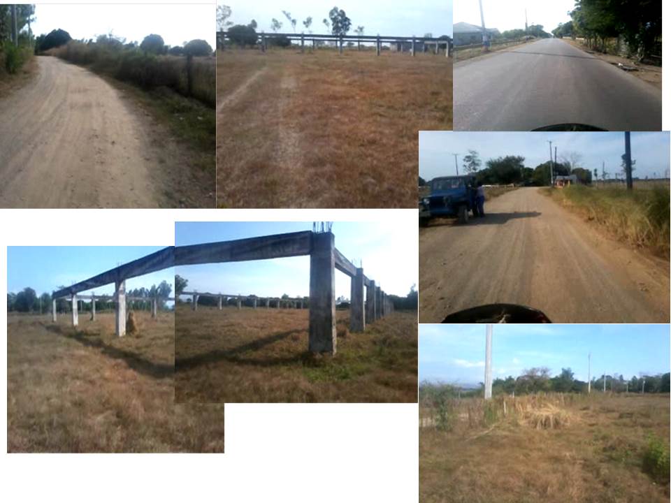 FOR SALE: Lot / Land / Farm Nueva Ecija > Cabanatuan